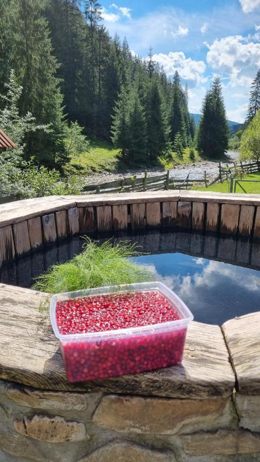 Крайня Хата Hotell Synevyrsʼka Polyana Eksteriør bilde