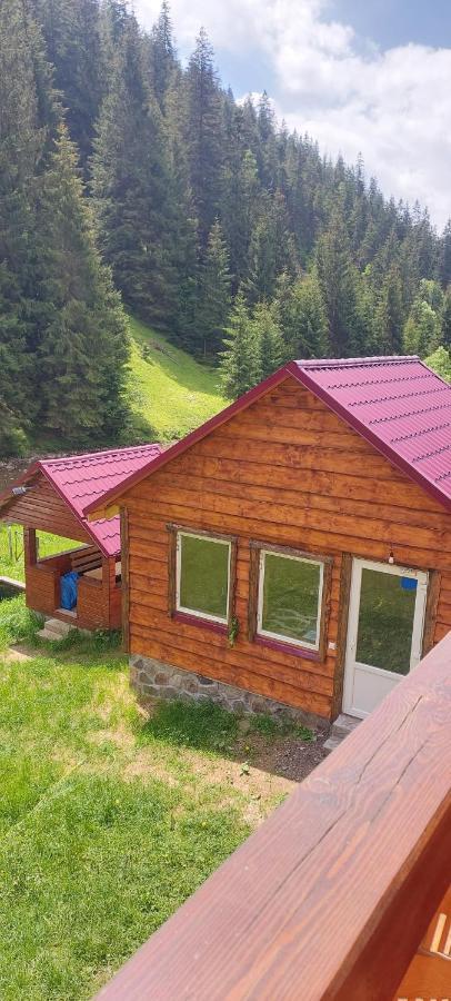 Крайня Хата Hotell Synevyrsʼka Polyana Eksteriør bilde